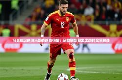 2026乐鱼体育在线官网马其顿足球俱乐部的球员伤情：从数据到复出之路的全景解读