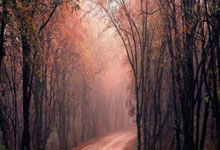 2025乐鱼体育app登录入口拉什福德：本赛季目标是夺得欧冠，巴萨有很多优秀的球员，拉什福德 巴萨